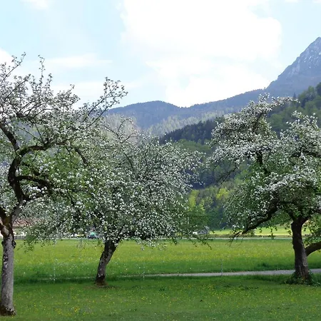 K3 - Strobl